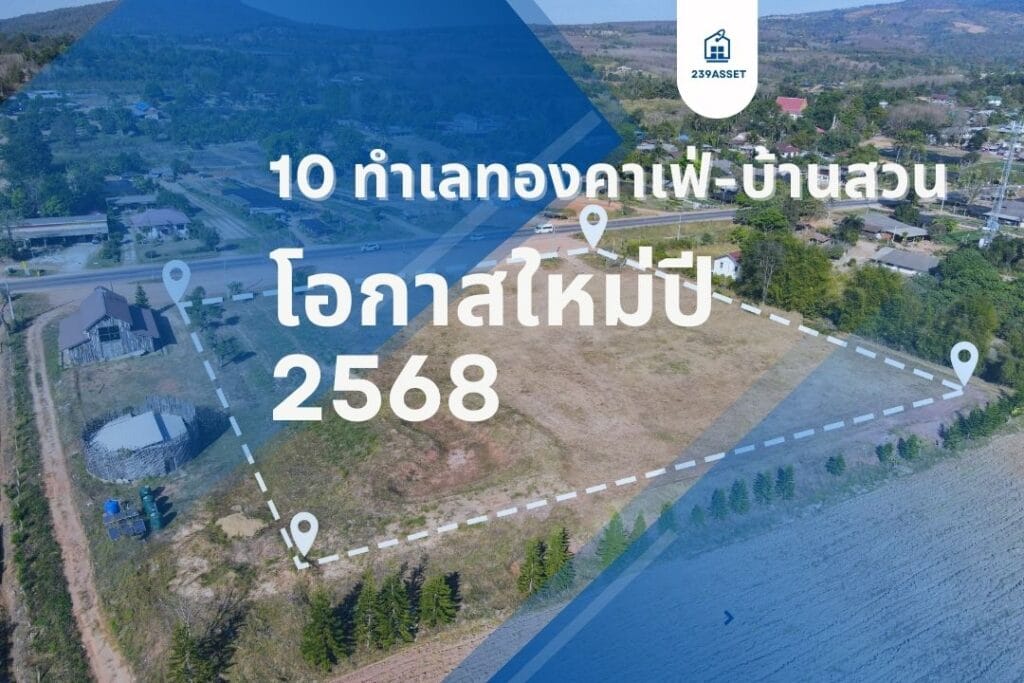 10 ทำเลทองคาเฟ่-บ้านสวน: โอกาสใหม่ปี 2568 2 10 ทำเลทองคาเฟ่-บ้านสวน: โอกาสใหม่ปี 2568