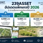 239ASSET อัปเดตแพ็กเกจปี 2026 จากโปรโมชั่นเดิม สู่ 3 ทางเลือกตามรูปแบบโครงการ 2 239ASSET ปี 2026 อัปเดต 3 แพ็กเกจ เริ่ม 8,000 บาท